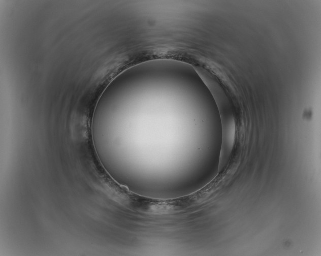 X0000091510470200708171159