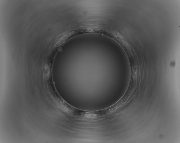X0000091510471200708171159