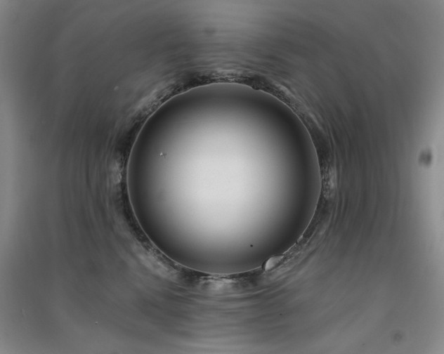 X0000091510472200708171159
