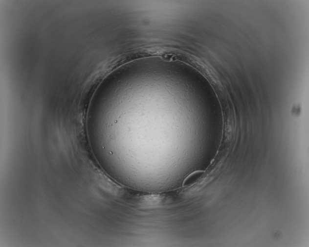 X0000091510473200708171159