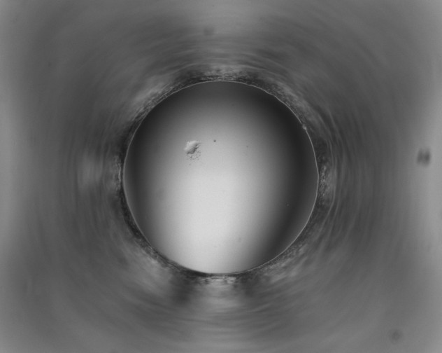 X0000091510474200708171159