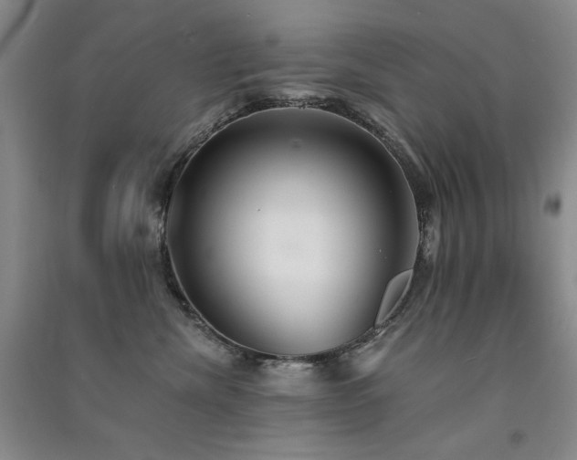 X0000091510476200708171159