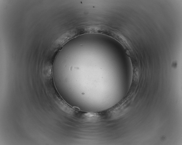 X0000091510477200708171159