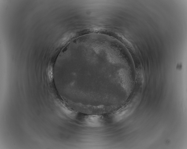 X0000091510479200708171159