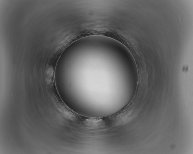 X0000091510480200708171159