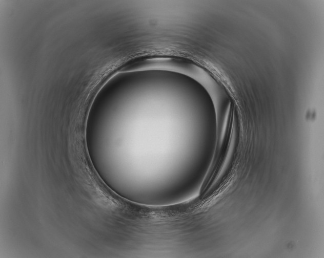 X0000091510481200708171159