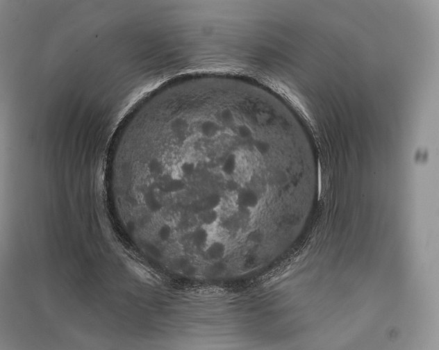 X0000091510483200708171159