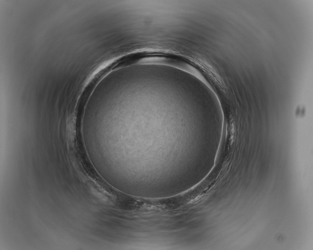 X0000091510484200708171159
