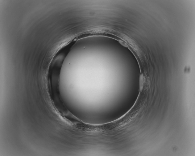 X0000091510485200708171159