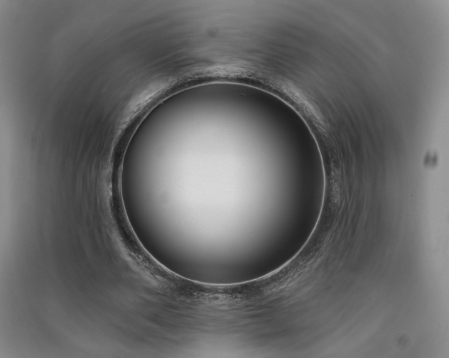 X0000091510486200708171159