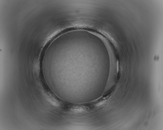 X0000091510488200708171159