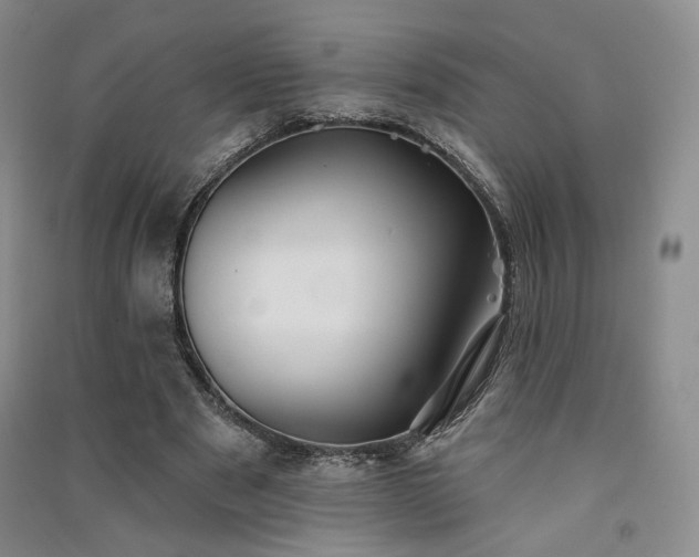 X0000091510489200708171159