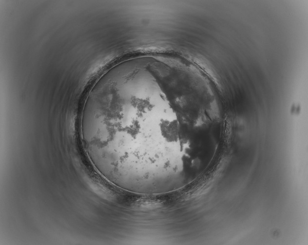 X0000091510491200708171159