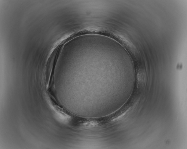 X0000091510492200708171159