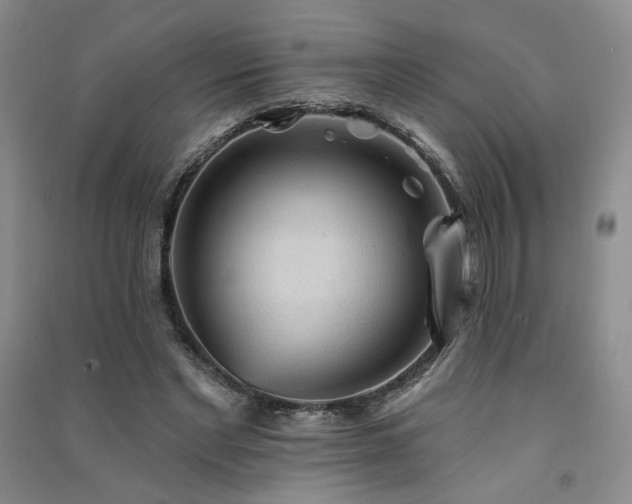 X0000091510493200708171159