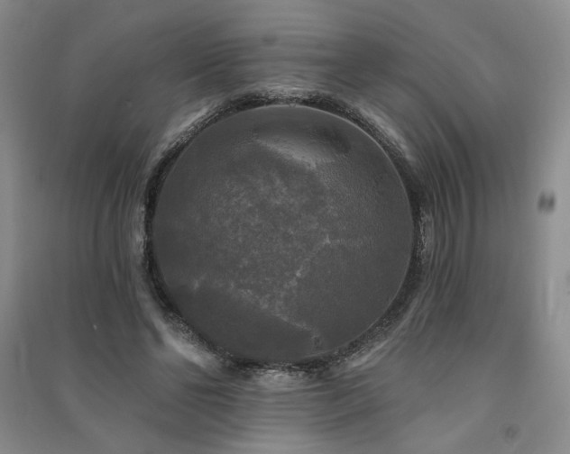 X0000091510494200708171159