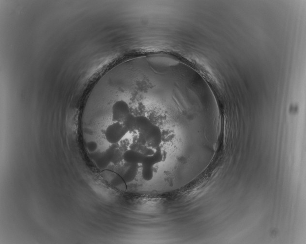 X0000091510495200708171159