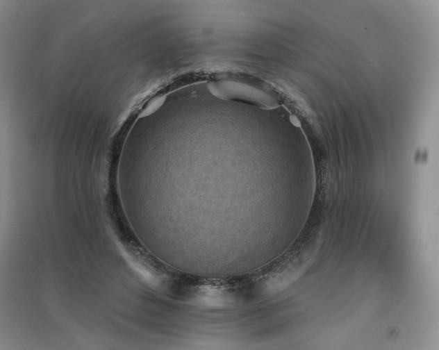 X0000091510496200708171159