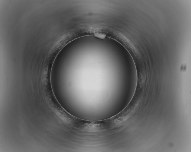 X0000091510497200708171159