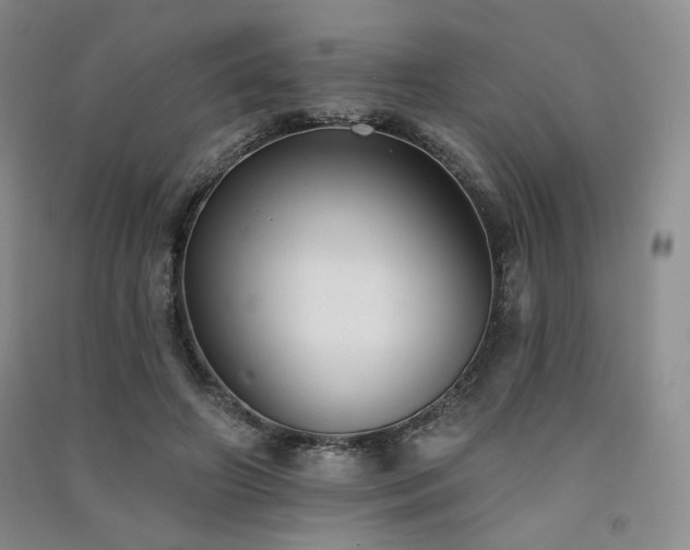 X0000091510498200708171159