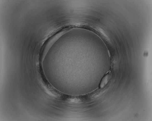 X0000091510500200708171159