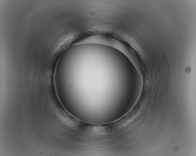 X0000091510501200708171159