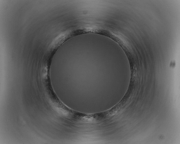 X0000091510502200708171159