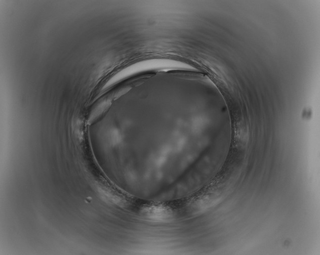 X0000091510503200708171159