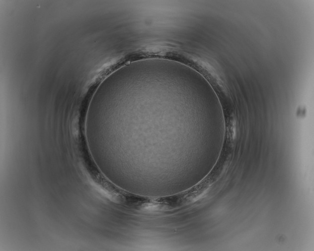 X0000091510504200708171158