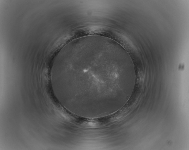 X0000091510506200708171158