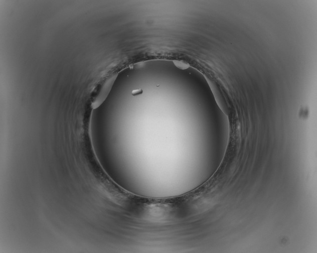 X0000091510508200708171158