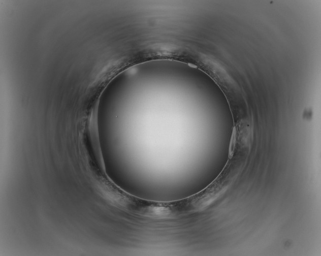 X0000091510509200708171158