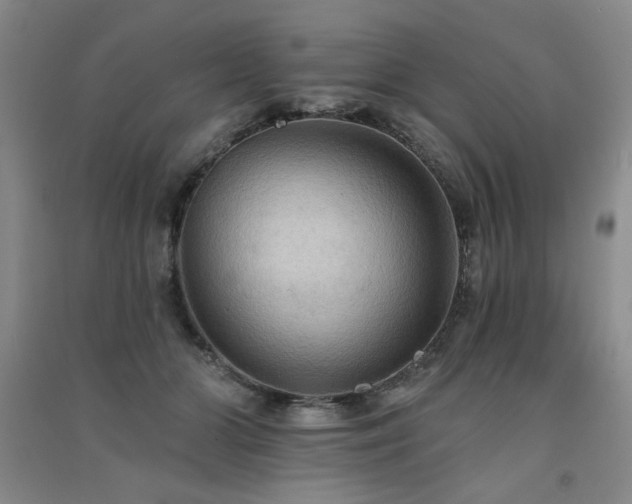 X0000091510510200708171158