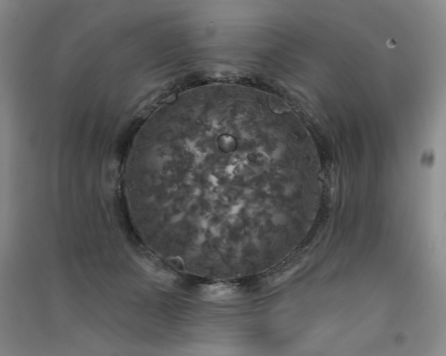 X0000091510511200708171158