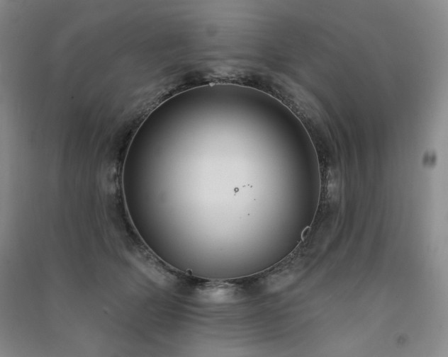 X0000091510514200708171158