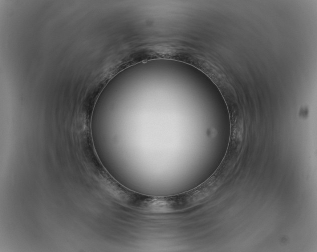 X0000091510518200708171158