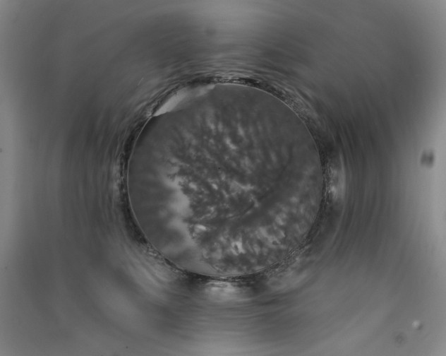 X0000091510519200708171158