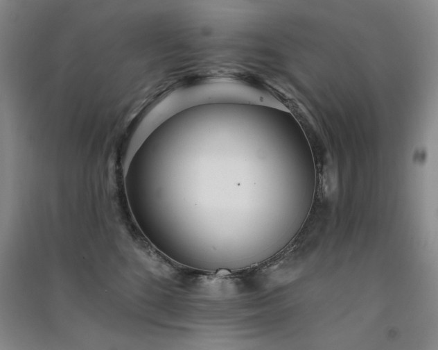 X0000091510520200708171158