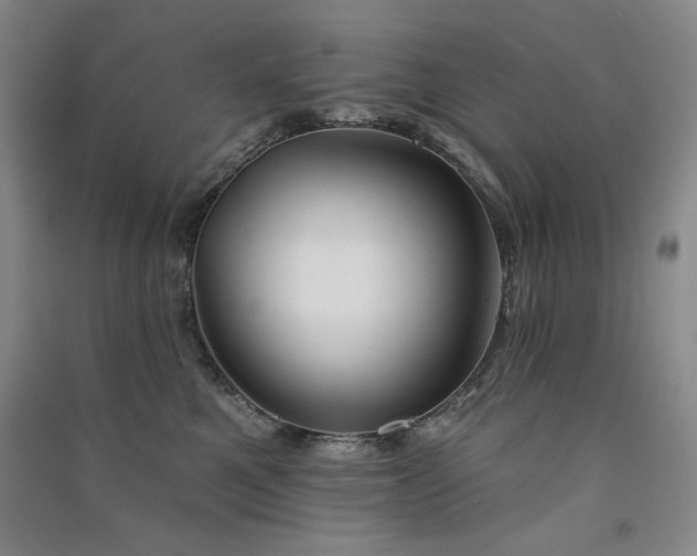 X0000091510521200708171158