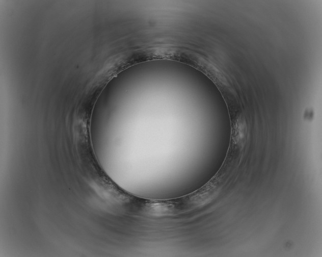 X0000091510522200708171158