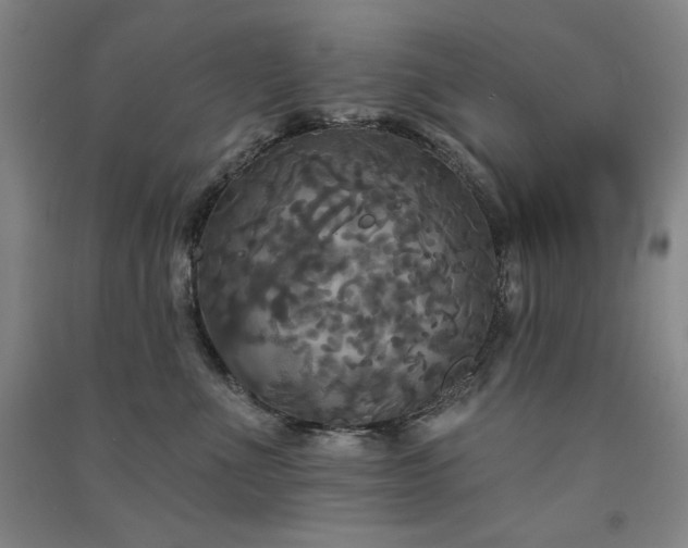 X0000091510523200708171158
