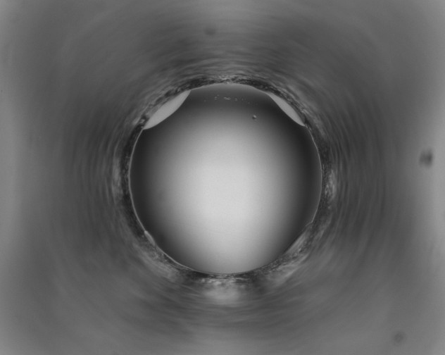 X0000091510524200708171158