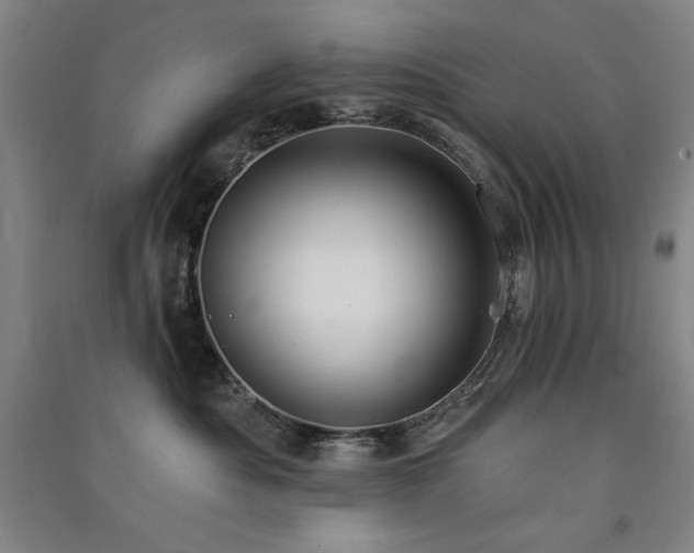 X0000091510525200708171158