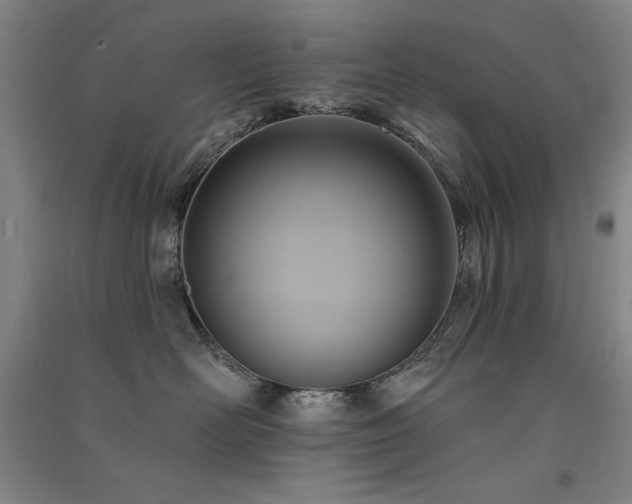 X0000091510526200708171158