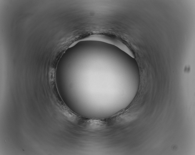 X0000091510528200708171158