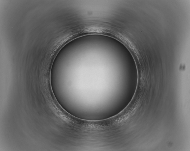 X0000091510529200708171157