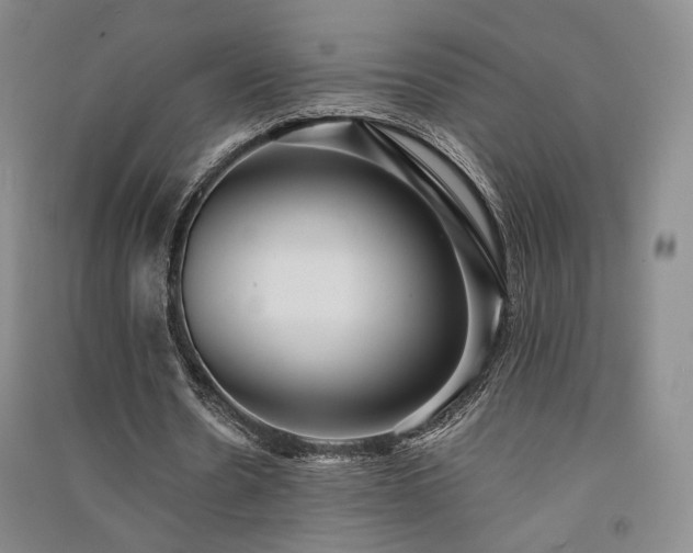 X0000091510530200708171157