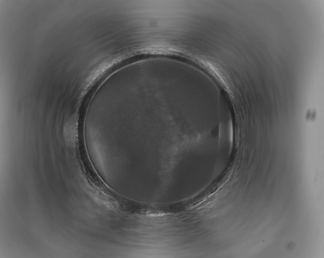 X0000091510531200708171157