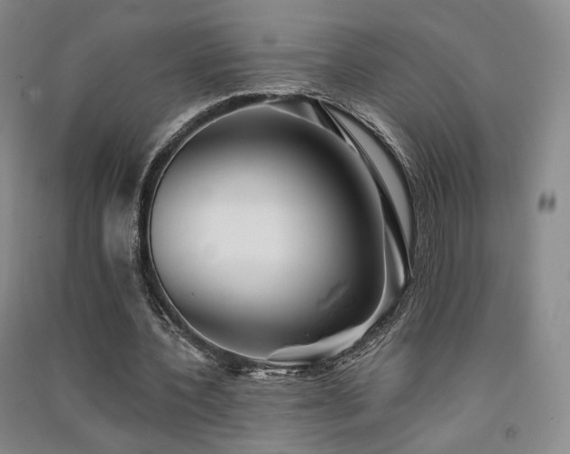 X0000091510532200708171157
