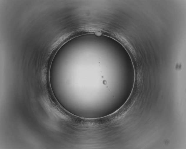 X0000091510533200708171157